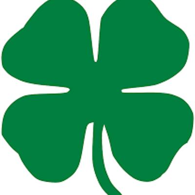 Celtic Horse Whispers 